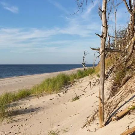 In Jaros Awiec Near The